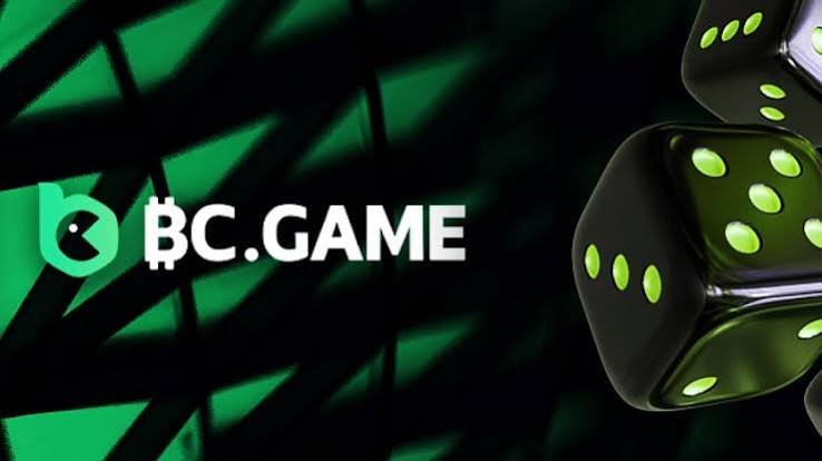 Comprehensive Guide to BC.Game Deposit Options 882651755