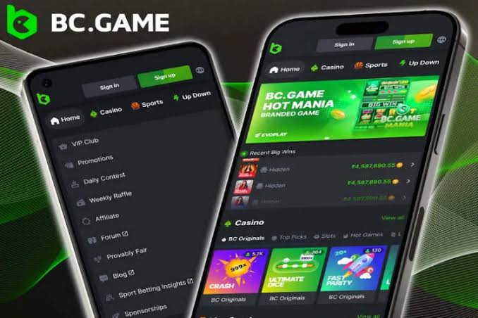 Explore the BC.Game App Your Gateway to Online Gaming Explore the BC.Game App Your Gateway to Online Gaming